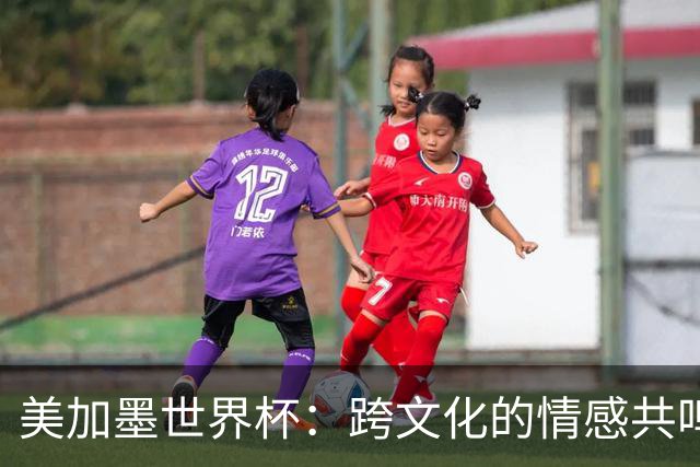 美加墨世界杯：跨文化的情感共鸣
