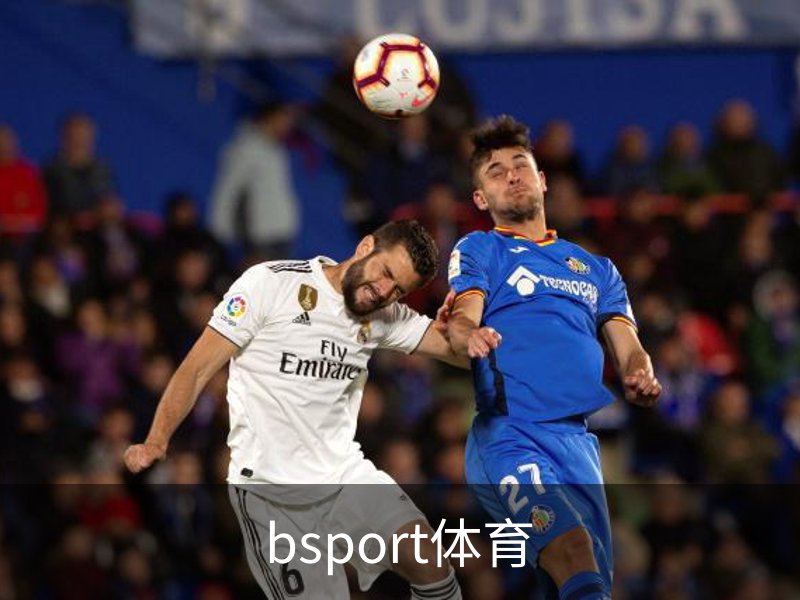 关于bsport体育